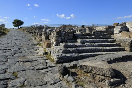 Italie, Latium, province de Viterbe, Montalto di Castro, antique cité étrusque de Vulci, la voie principale