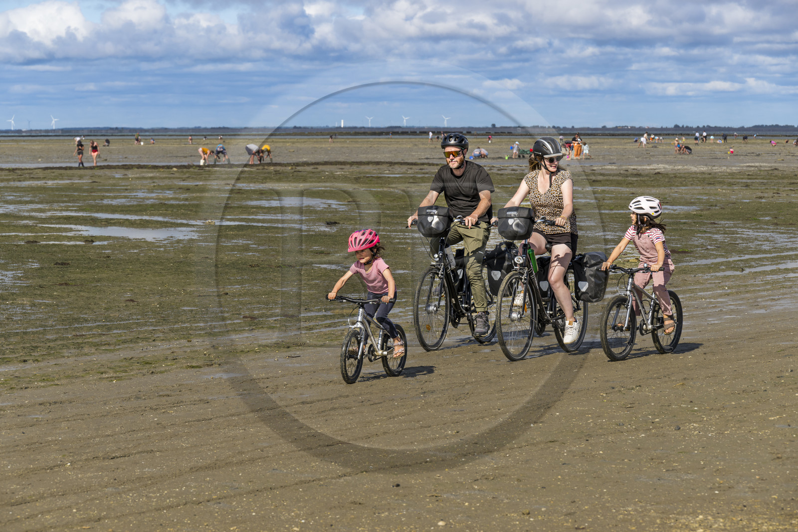 France, Vendée (85), île de Noirmoutier, Barbatre, famille de cyclistes sur l'estran en bordure du passage du Gois, chaussée submersible qui relie l'île au continent à marrée basse
