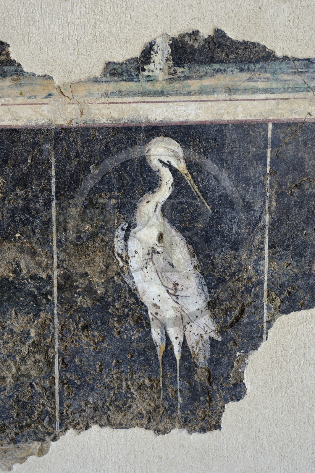 France, Rhône (69), Saint-Romain-en-Gal, musée gallo-romain de Saint-Romain-en-Gal, peinture murale appelée Peinture aux Échassiers provenant du péristyle d’une maison de Vienne