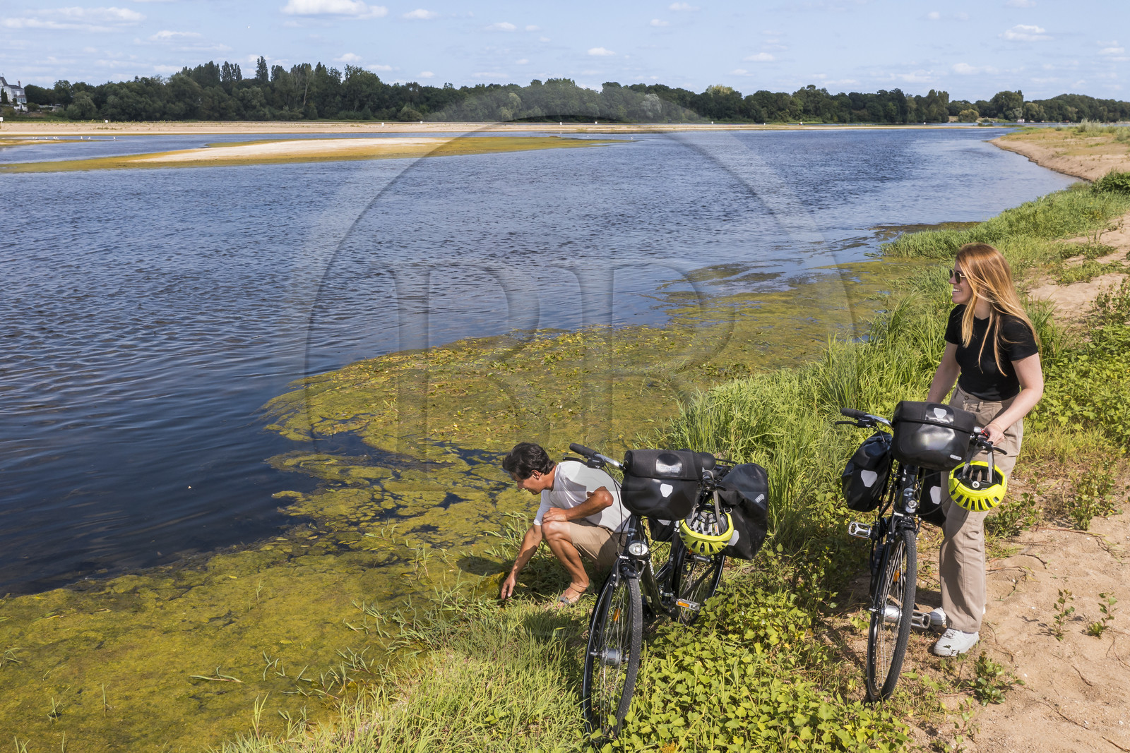 France, Maine-et-Loire (49), vallée de la Loire classée au Patrimoine Mondial par l'UNESCO, Gennes-Val-de-Loire, randonnée à bicyclette sur les berges de la Loire (vue aérienne)