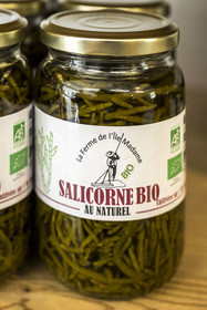 France, Charente Maritime, Port des Barques, Ile Madame, the Ile Madame Aquaculture Farm, organic European salicornia (Salicornia europaea) made on site, it is sown and harvested 4 times a year