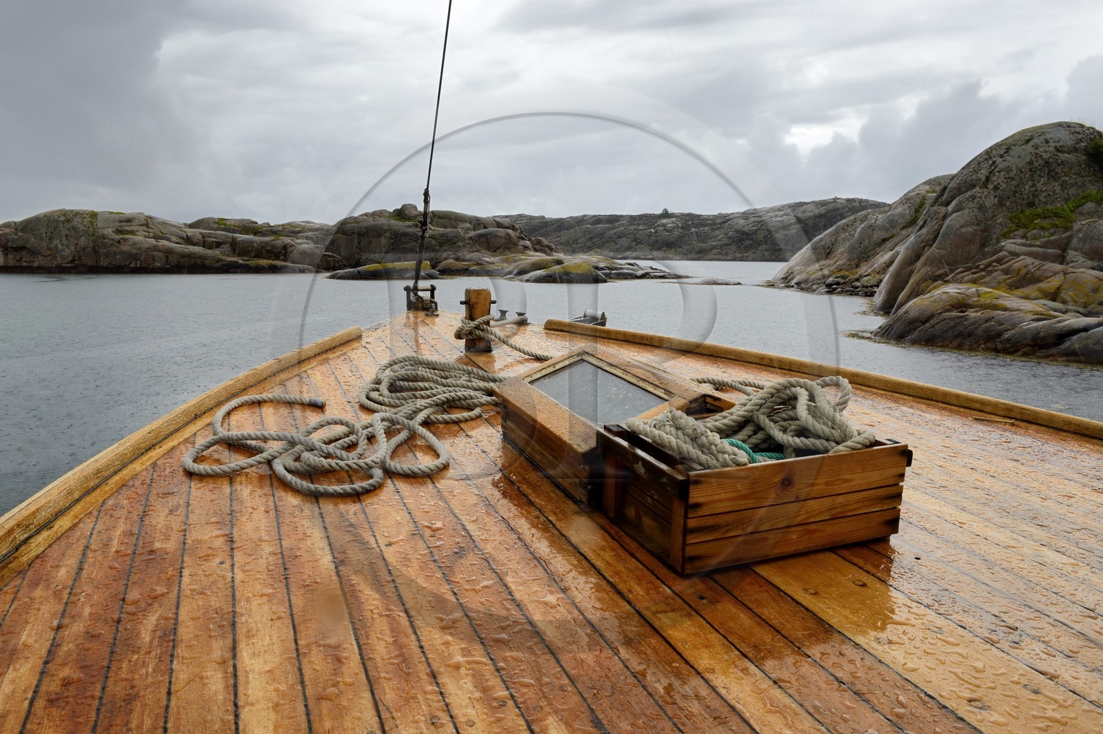 Sweden, Västra Götaland, Grebbestad, Everts Sjöbod (Evert's Boathouse) oyster farm, at sea with Lars Karlsson