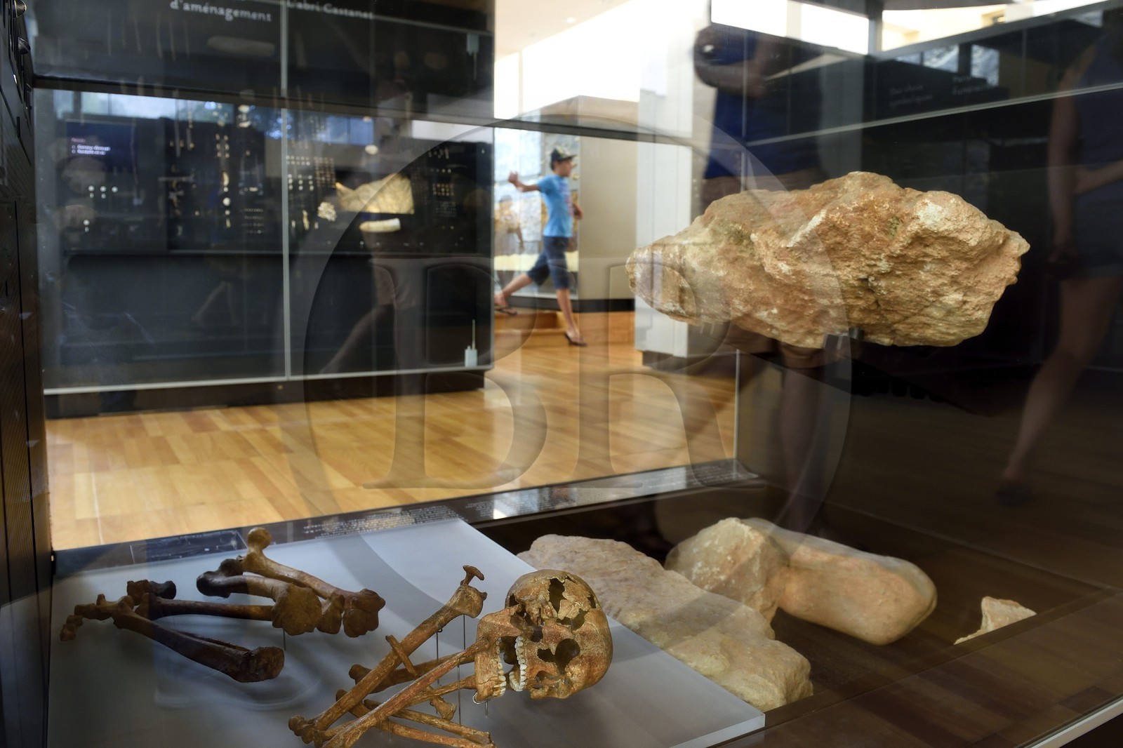 France, Dordogne, Perigord Noir, Vezere Valley, Les Eyzies de Tayac Sireuil, listed as World Heritage by UNESCO, Musee de la Prehistoire (Museum of Prehistory), the tomb of Saint-Germain-la-Rivière from the Middle Magdalenian (around 16,000 years BP)