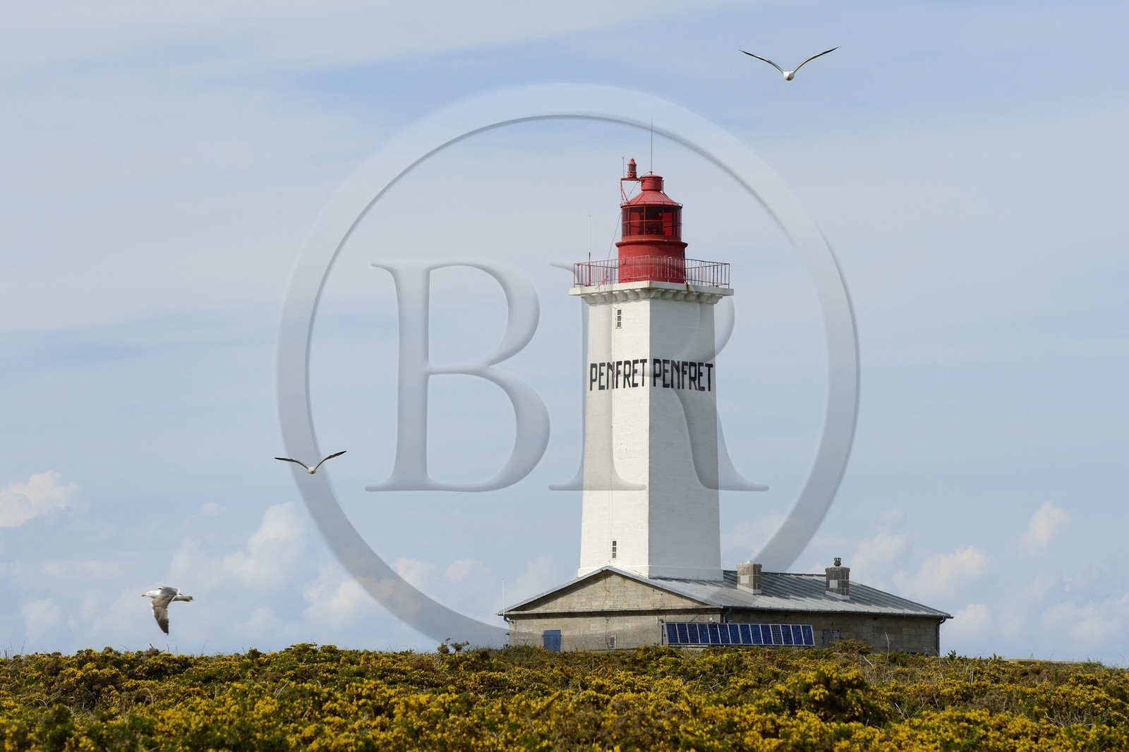France, Finistere, La Foret Fouesnant, Glenan islands, Penfret island, the lighthouse