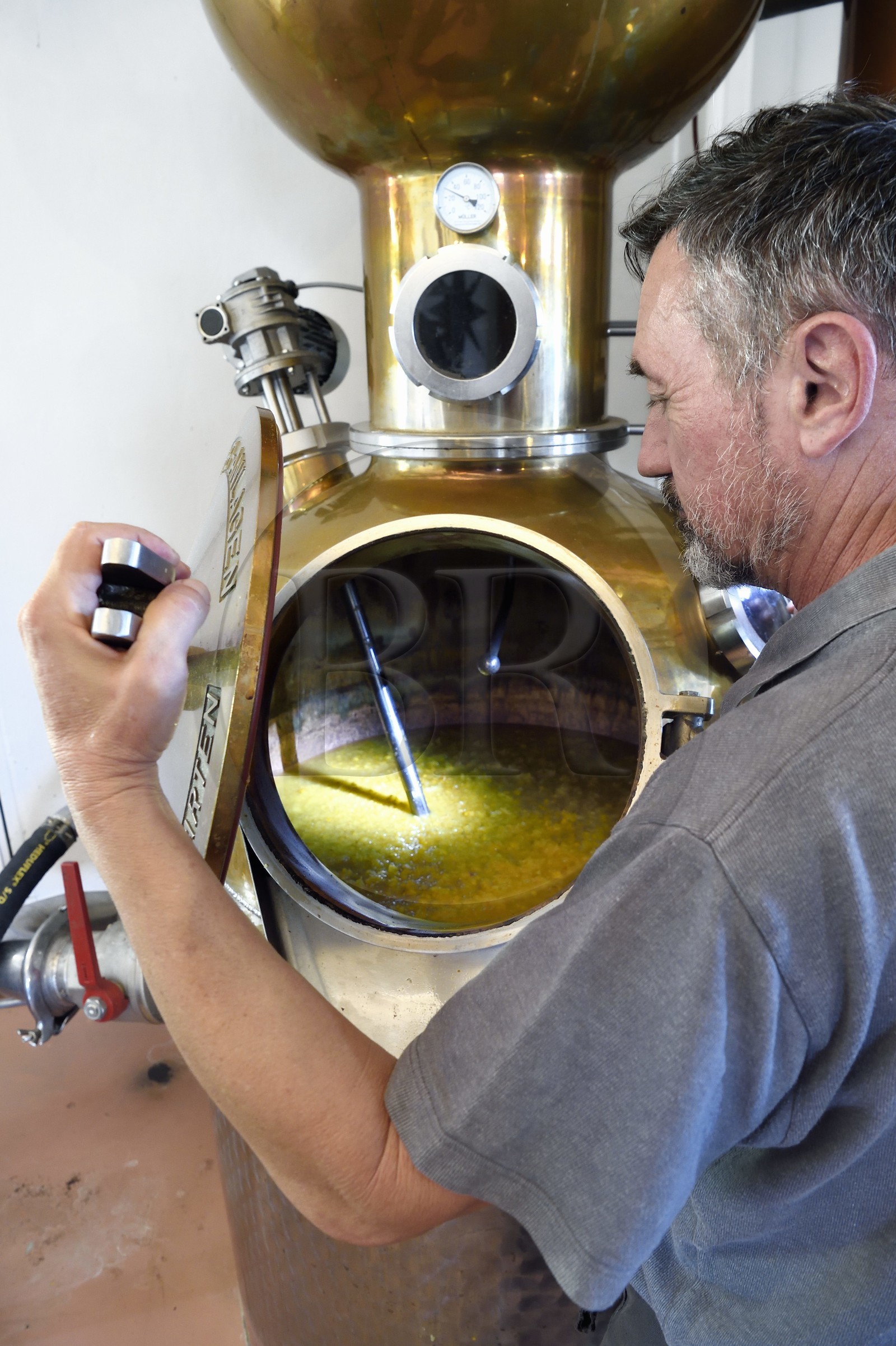 France, Ile de la Reunion, La Saline, La Part des Anges Distillation, remplissage de l'alambic électrique avec l'ananas fermenté pour la triple distillation de l'eau de vie