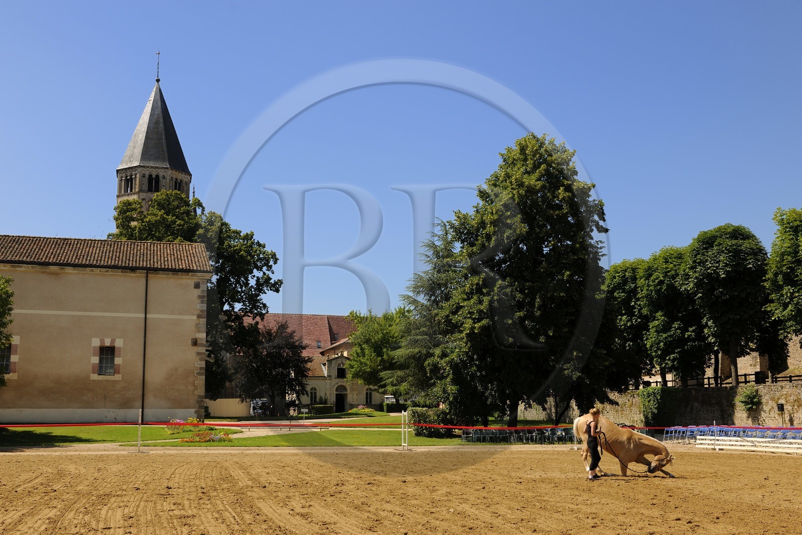 France, Saône et Loire (71), Cluny, le Haras national, Emeline Hussenet artiste équestre avec le cheval Pyrame