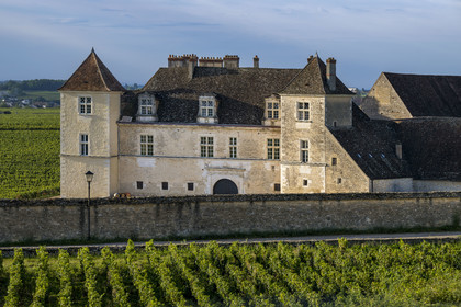 France, Côte-d'Or (21), Paysage culturel des climats de Bourgogne classés Patrimoine Mondial de l'UNESCO, Route des Grands Crus, vignoble de la Côte de Nuits, Vougeot, le Chateau du Clos de Vougeot