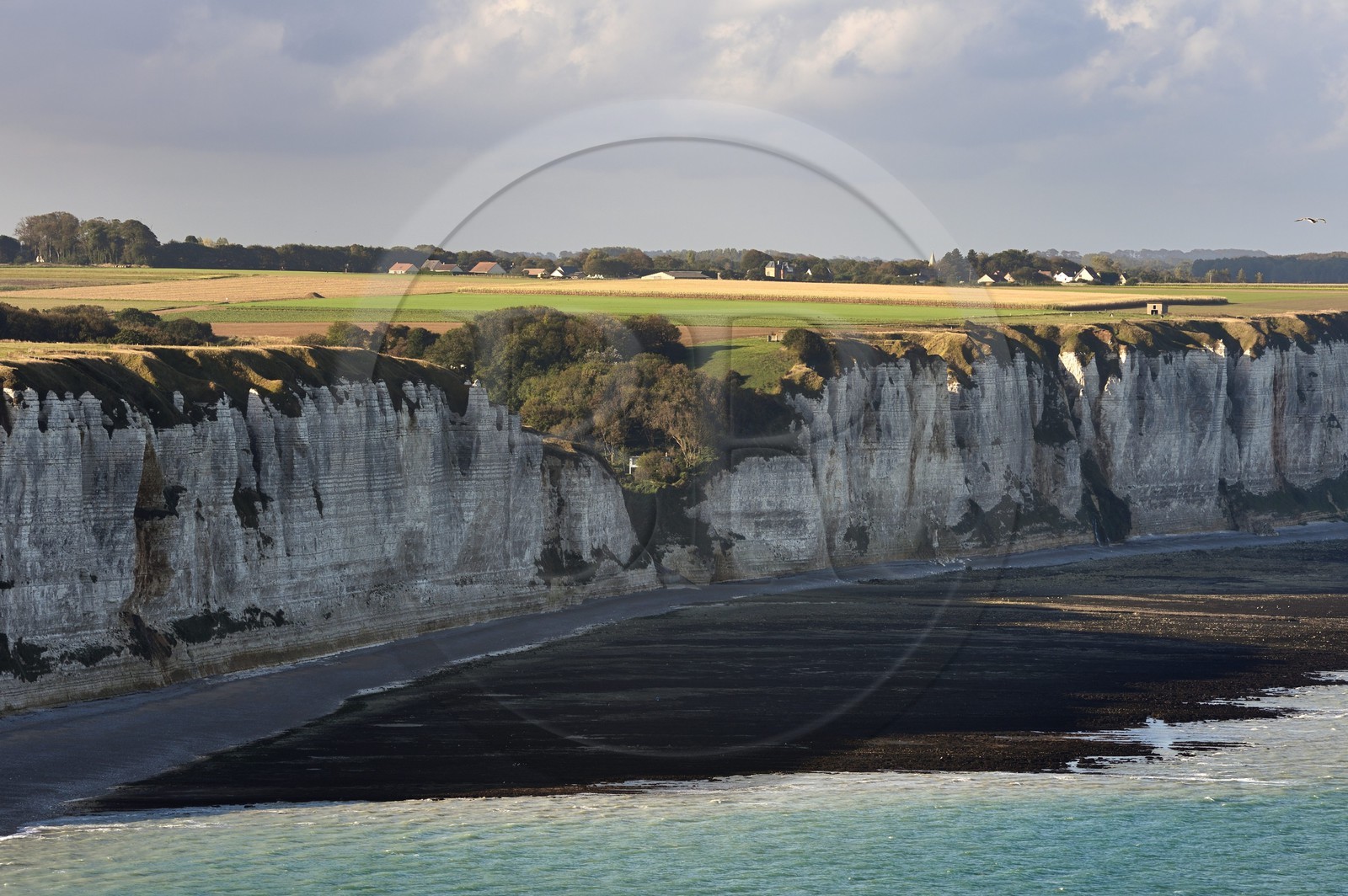 France, Seine-Maritime (76), Pays de Caux, Côte d'Albâtre, Fécamp, falaises au sud de la ville