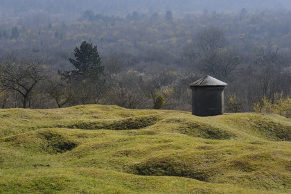 France, Meuse (55), région de Verdun, trou d'obus sur abri 320 en bordure de l'ossuaire de Douaumont