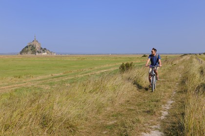 France, Ille-et-Vilaine (35), le Mont-Saint-Michel depuis la digue des polders