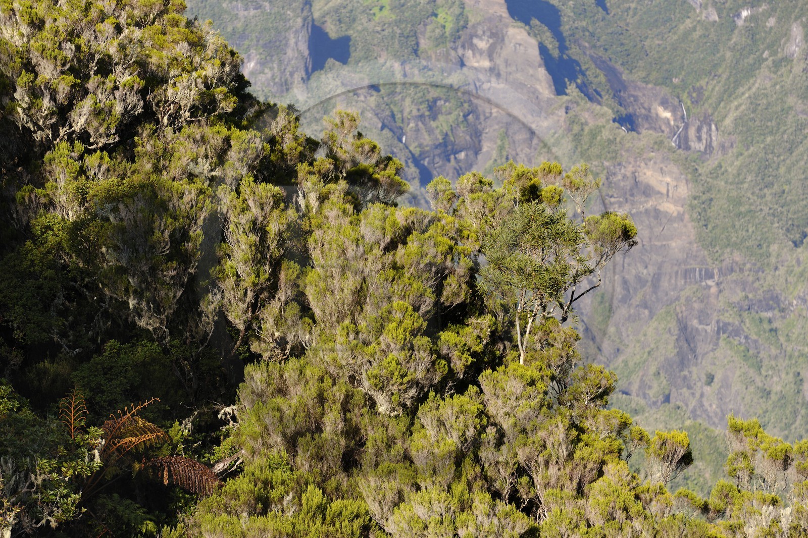 France, île de la Réunion, cirque de Salazie, classé Patrimoine Mondial de l'UNESCO