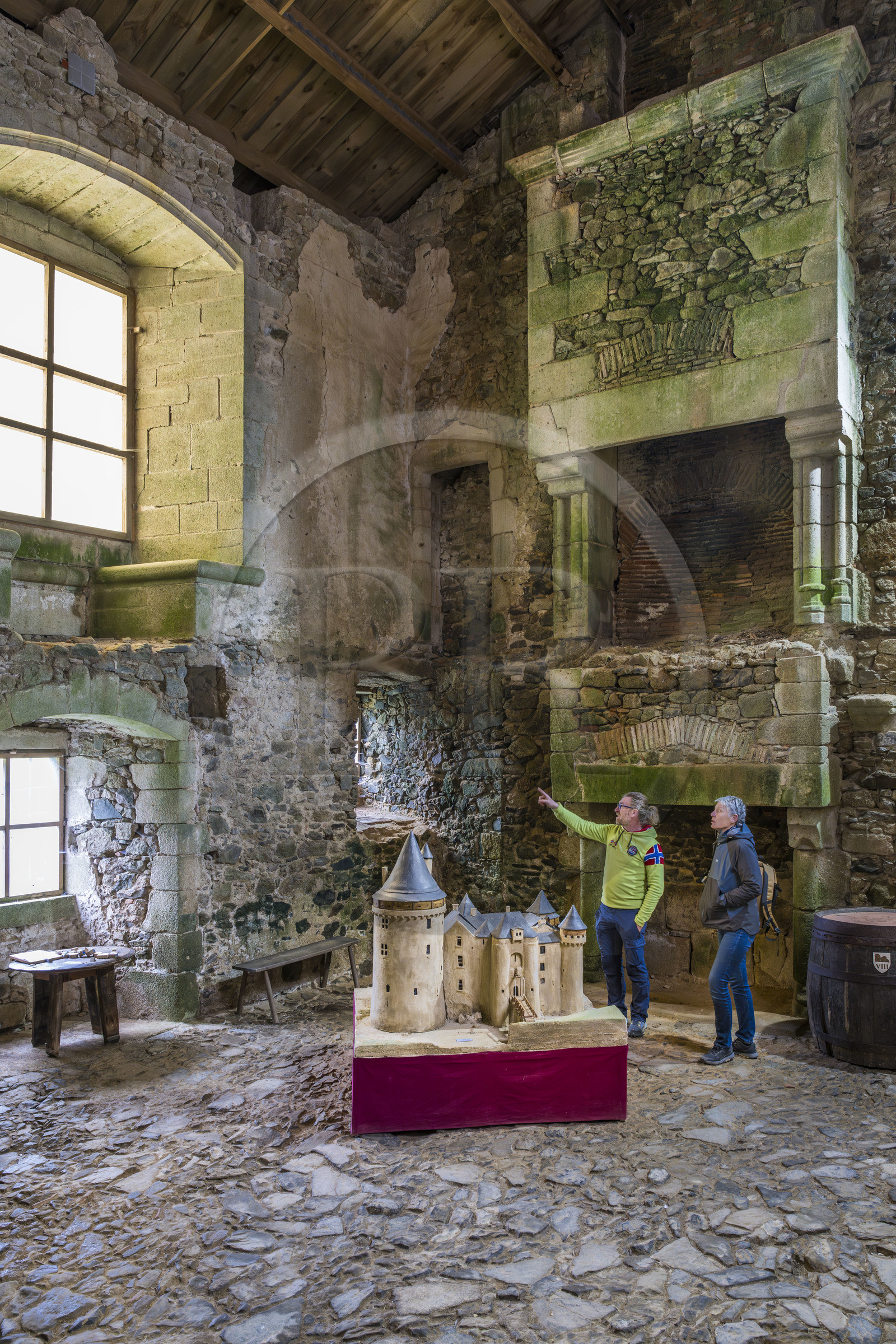France, Deux-Sèvres (79), Saint-André-sur-Sèvre, chateau fort de Saint-Mesmin des XIVe et XVe siècles