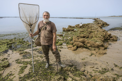France, Charente-Maritime (17), Ile d'Oléron, Saint-Georges-d'Oléron, plage des Sables Vignier à marée basse, concessionnaire mareyant de l'écluse à poissons des Basses