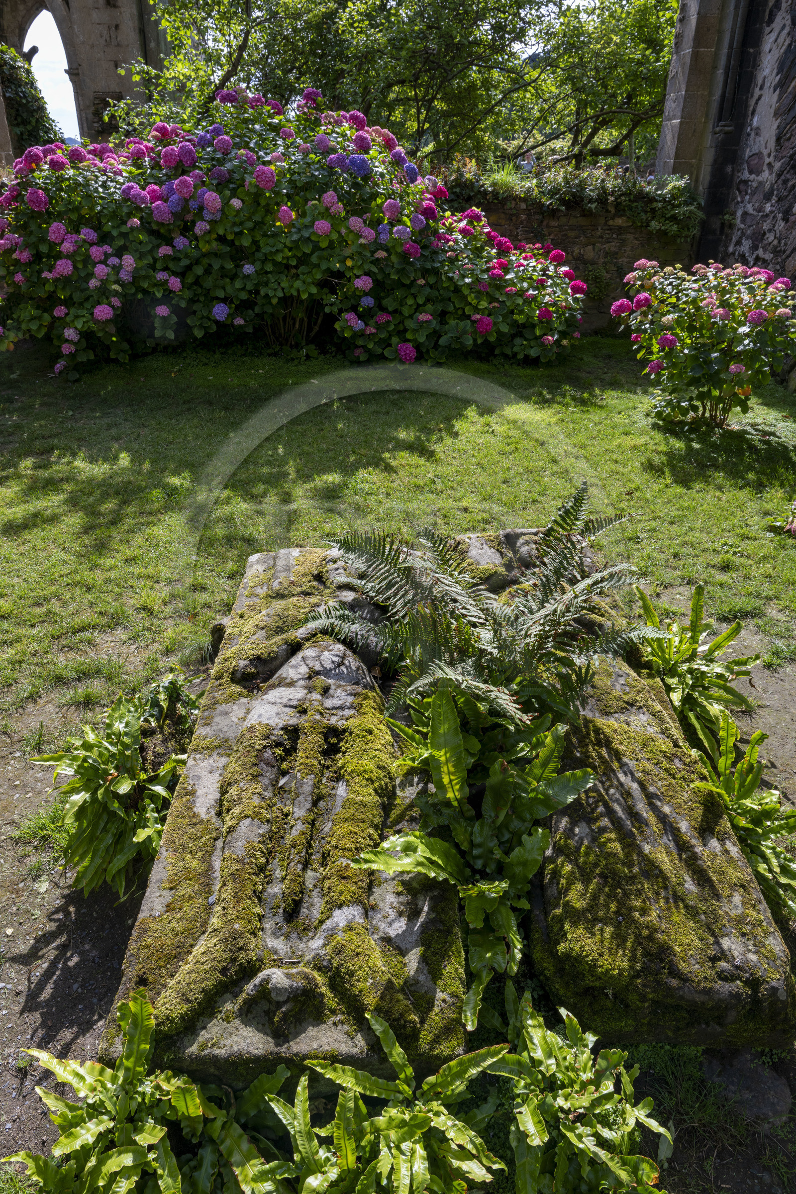 France, Côtes d'Armor (22), Paimpol, abbaye de Beauport du XIIIème siècle, intérieur de l'église abbatiale, couple de gisants des seigneurs de Kergozou XVème siècle