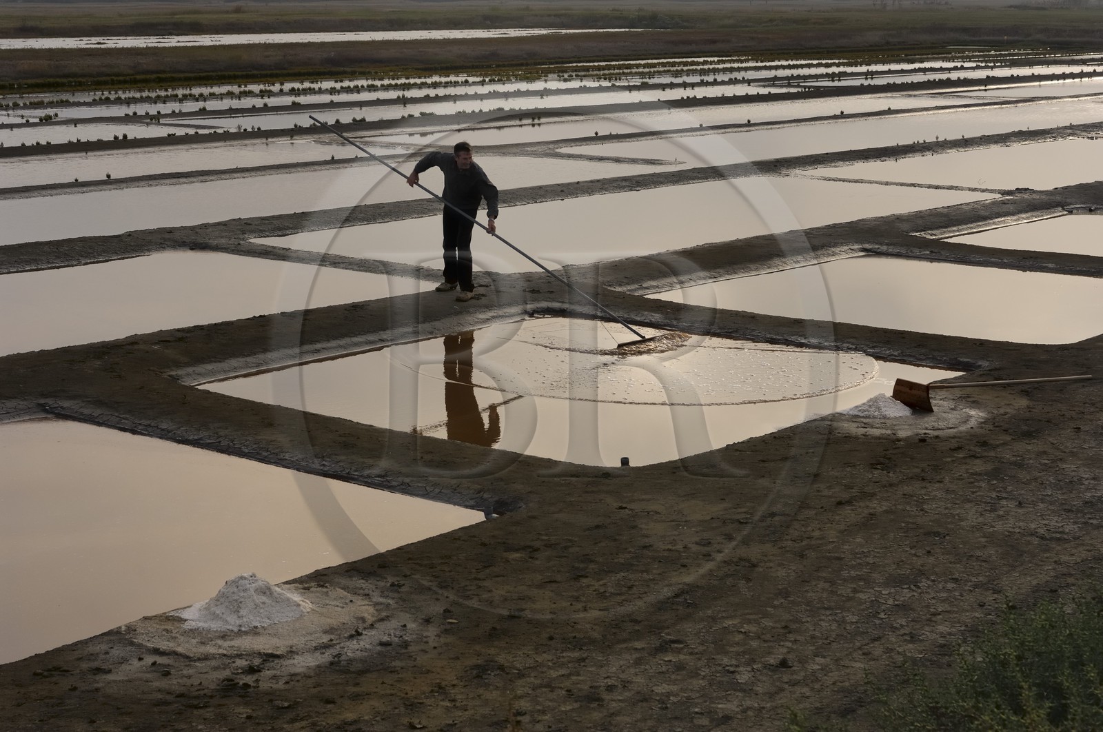 France, Charente-Maritime (17), Ile Madame, la ferme-auberge aquacole de M et Mme Jean Pierre Mineau, récolte de sel par le paludier