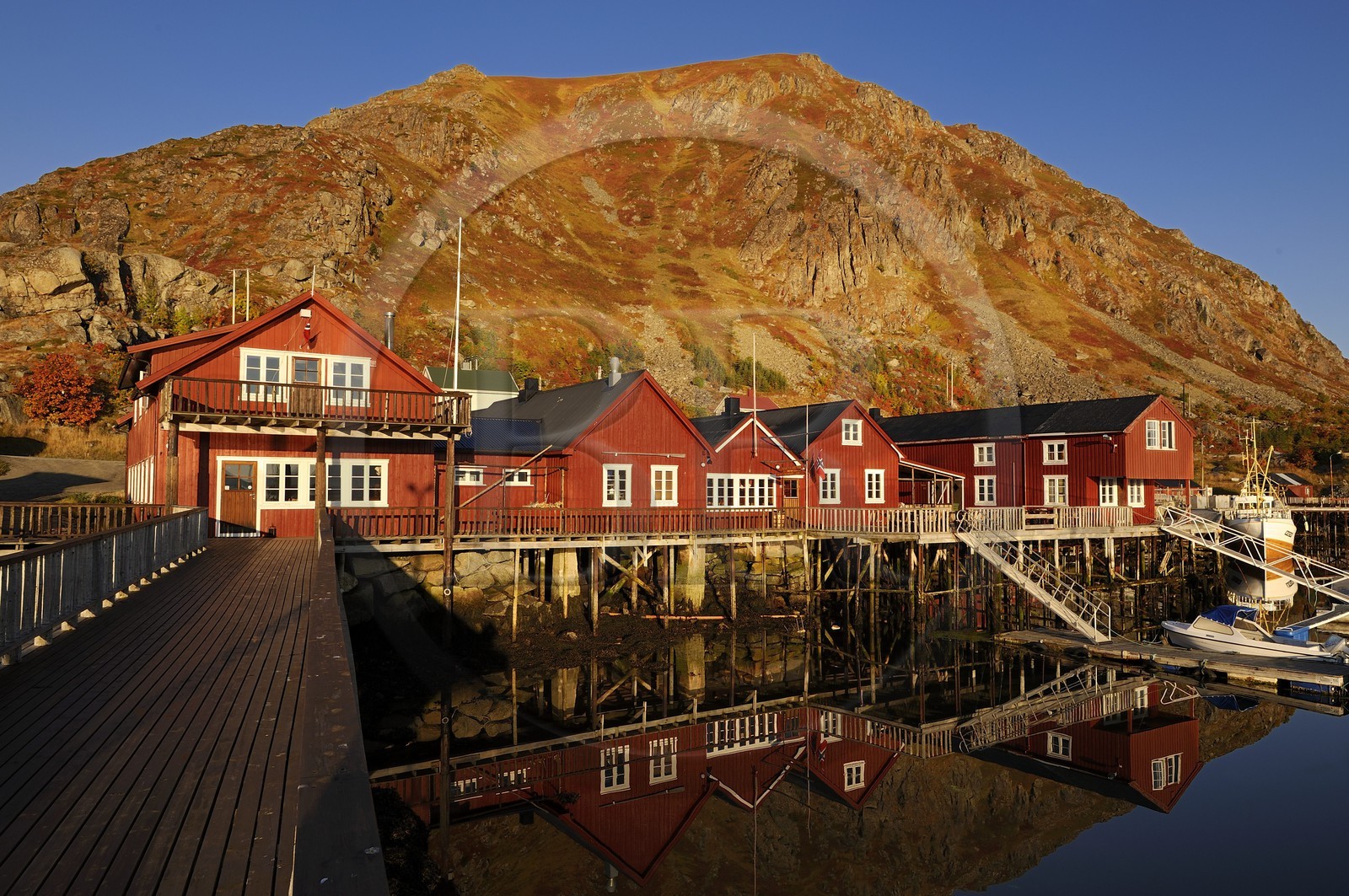 Norway, Nordland County, Lofoten Islands, Vestvagoy Island, Ballstad fishing harbour