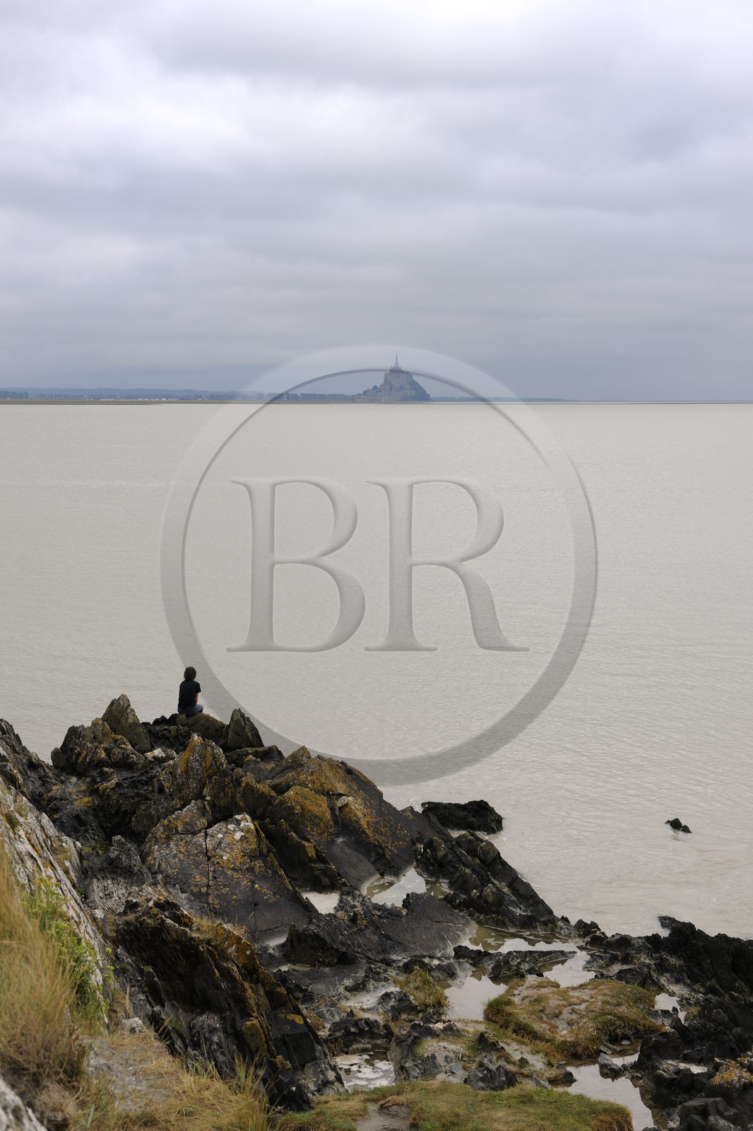 France, Manche (50), la Baie du Mont-Saint-Michel et le Mont depuis le Groin du Sud