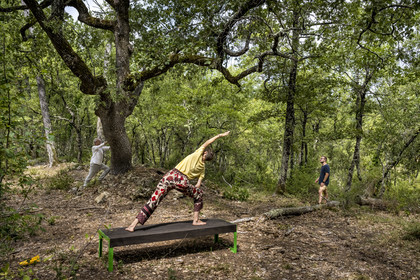 France, Var (83), Provence Verte, Bras, Académie du Bain de Forêt Provençale, forêt du domaine Le Peyrourier - une campagne en Provence, Constanze Coisne guide le Shinrin Yoku