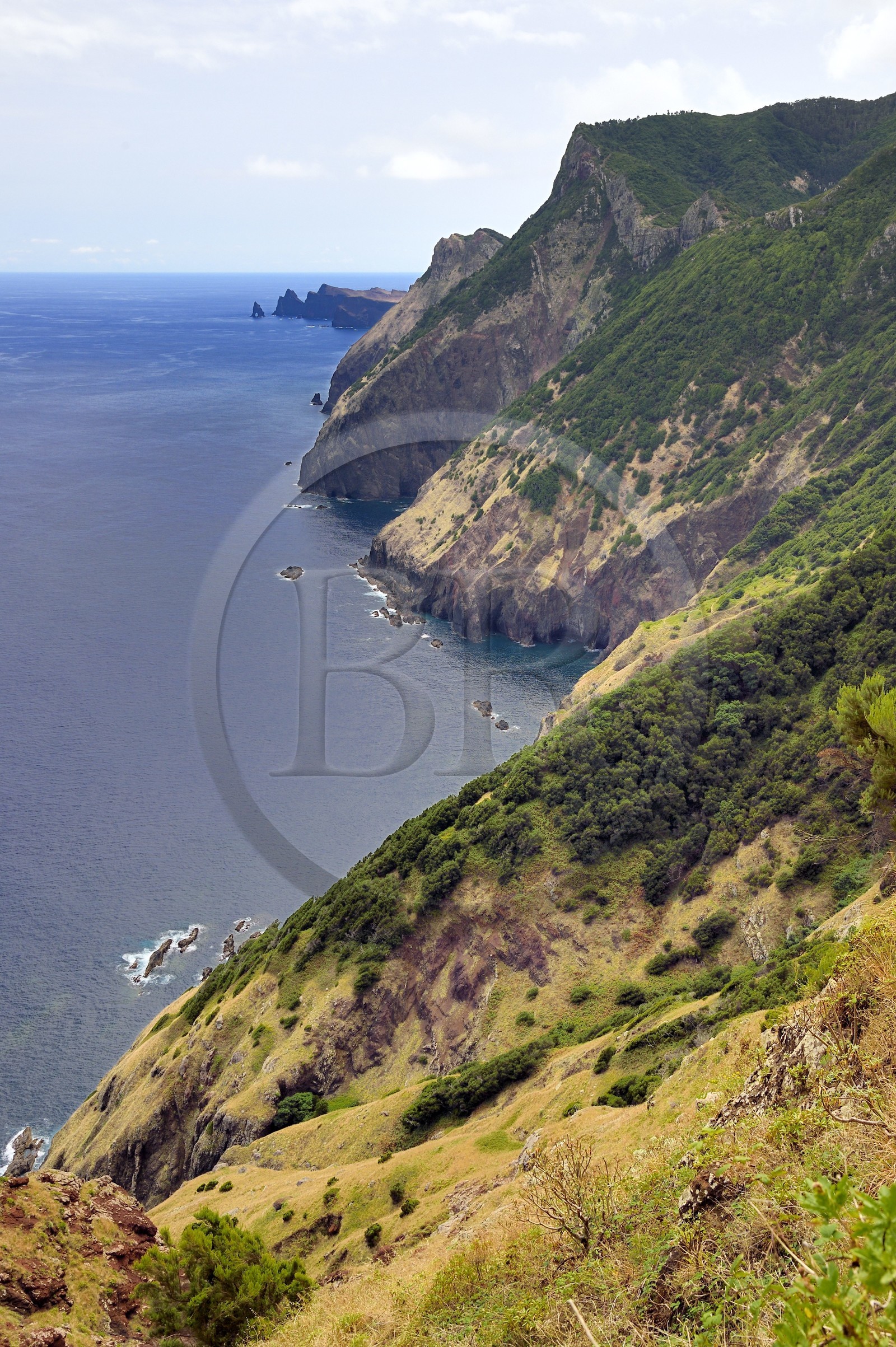 Portugal, Ile de Madère, randonnée de Machico à Porto da Cruz par le Vereda do Larano, la falaise de Larano