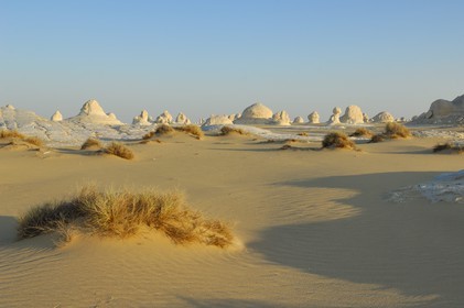 Egypte, désert libyque, le Désert Blanc au nord de Farafra