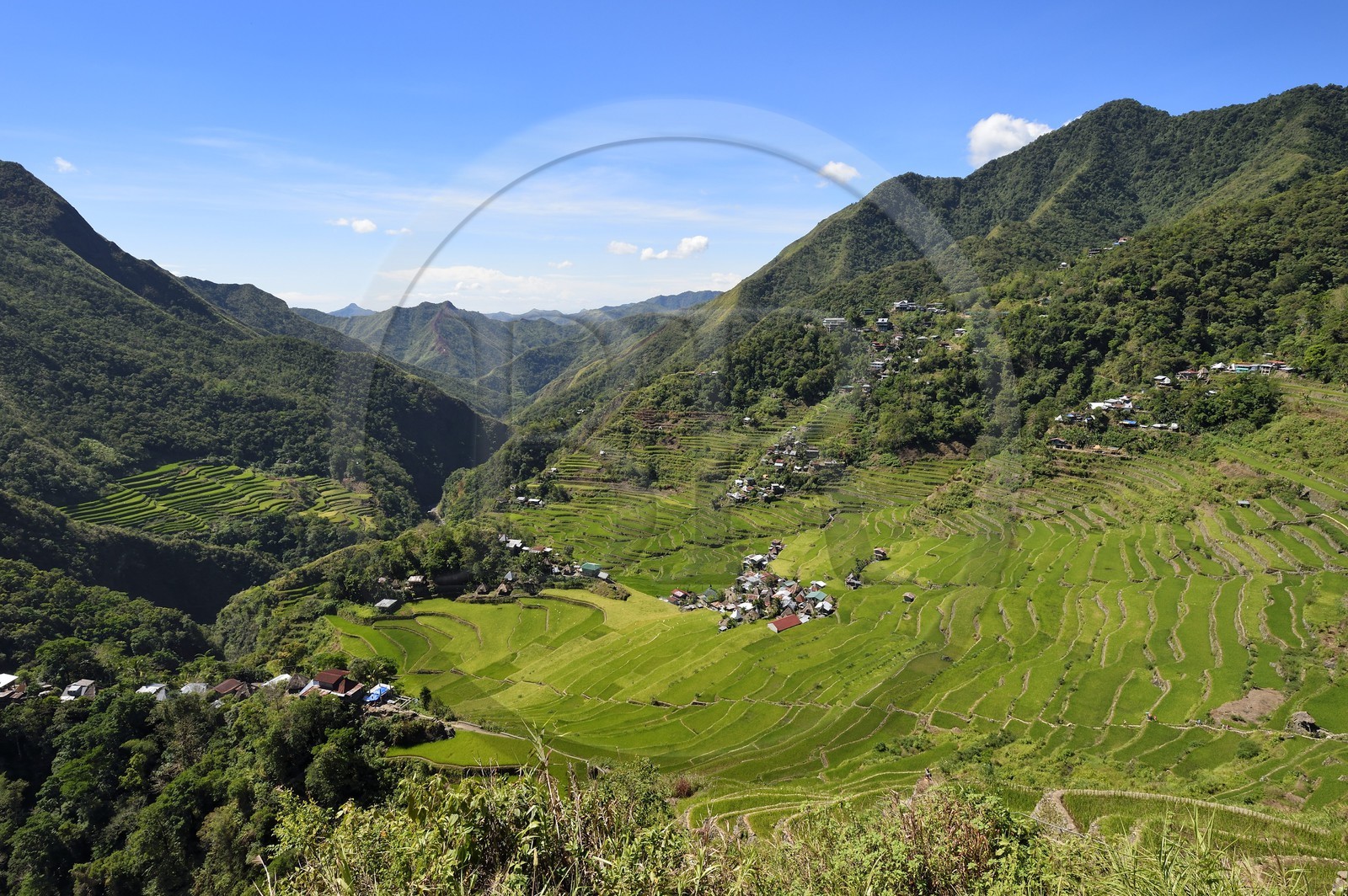 Philippines, Ifugao province, Banaue rice terraces around the village of Batad, listed as World Heritage by UNESCO, fed by an ancient irrigation system from the rainforests above the terraces