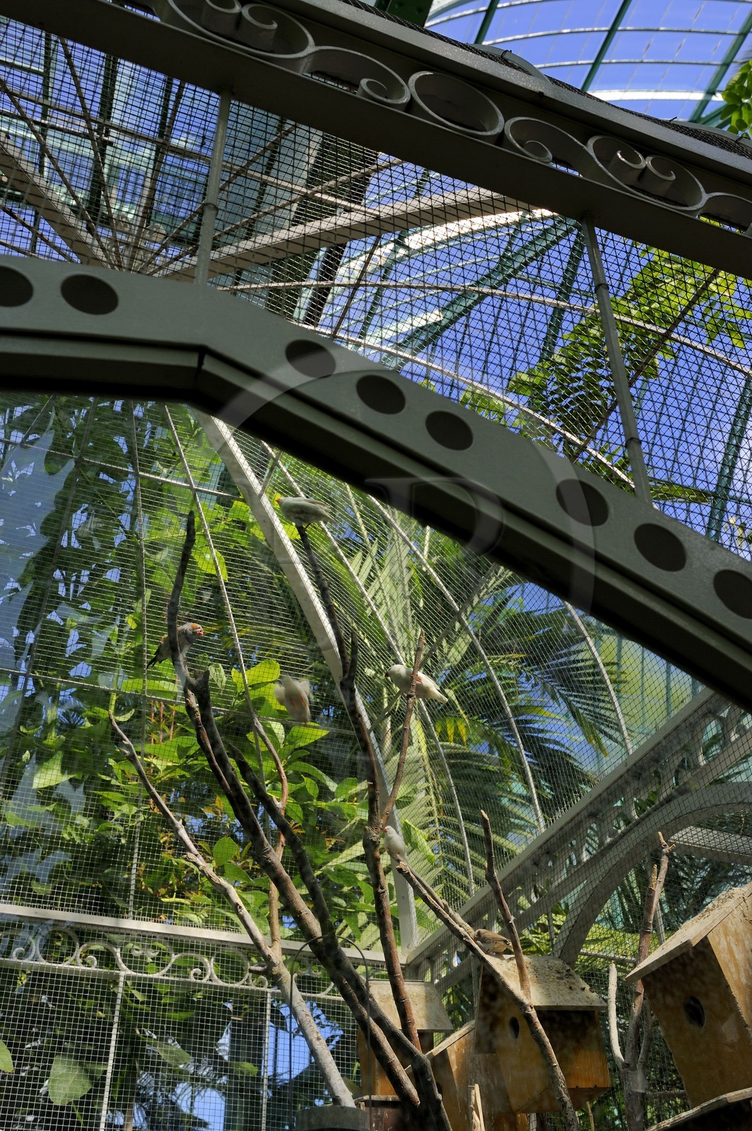 France, Paris, Jardin des Serres d'Auteuil, botanical garden set within a major greenhouse complex, the main greenhouse