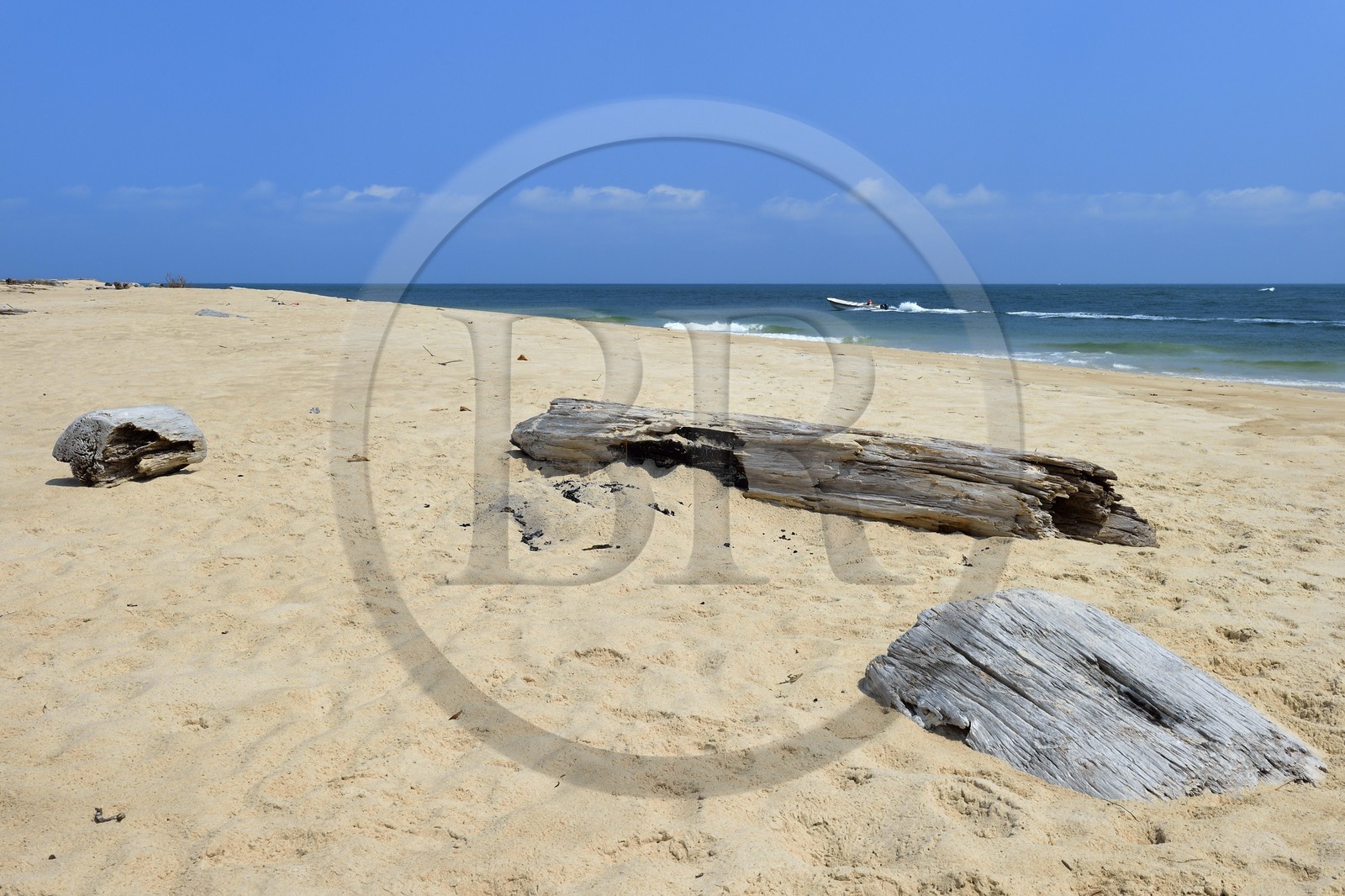 Gabon, Estuaire Province, the Pointe Denis beach facing Libreville on the other side of the estuary of the Gabon and driftwood