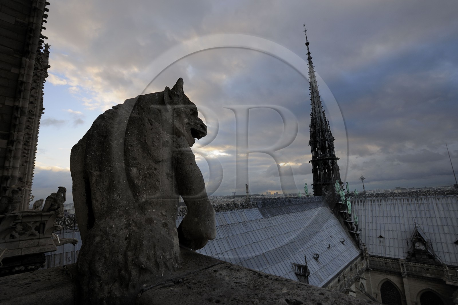 France, Paris (75), île de la Cité, la cathédrale Notre-Dame, les chimères observent la ville