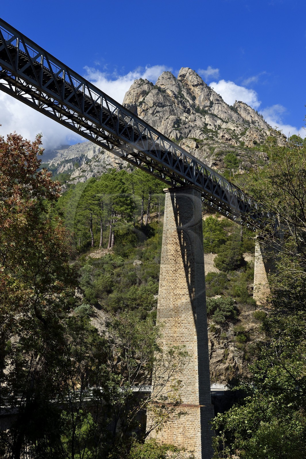 France, Haute Corse, Vivario, Pont du Vecchio (Vechju), railroad bridge designed by architect Gustave Eiffel (1893)