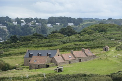 France, Côtes-d'Armor (22), Côte de Granit Rose, Trébeurden, allée couverte sur l'île Milliau