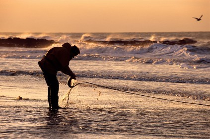 Belgique, Flandre-Occidentale, Ostende (Oostende), pêcheur à pied relevant son filet sur la plage