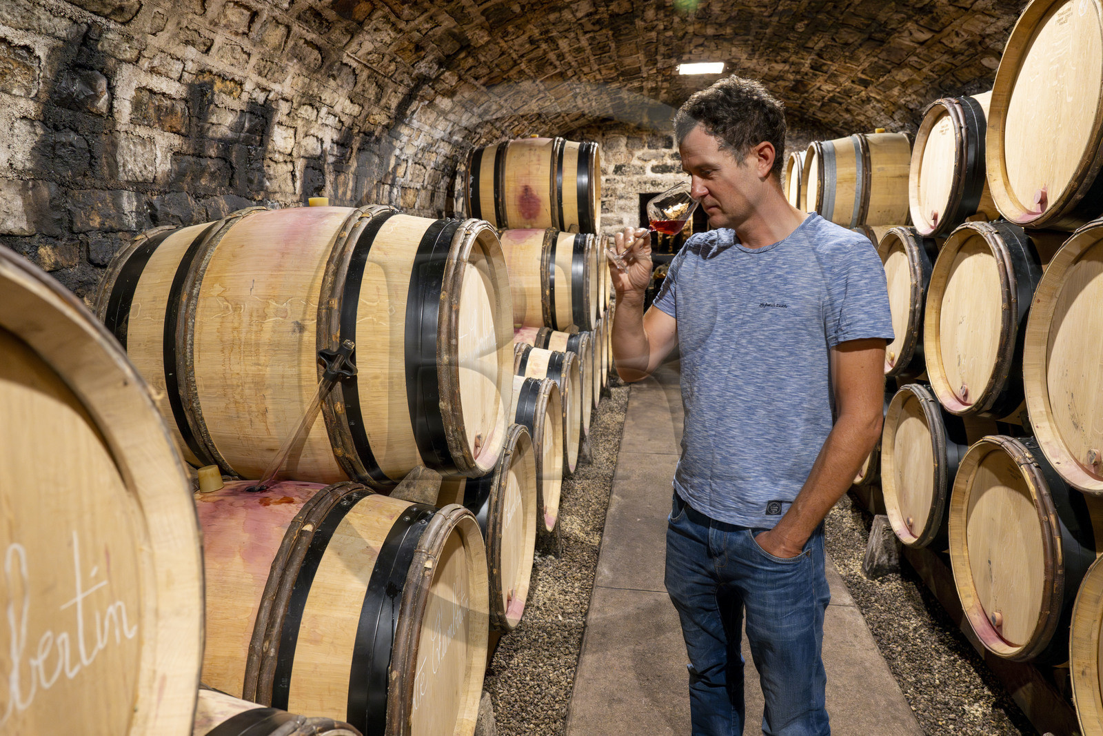 France, Côte-d'Or (21), Paysage culturel des climats de Bourgogne classés Patrimoine Mondial de l'UNESCO, Route des Grands Crus, vignoble de la Côte de Nuits, Gevrey-Chambertin, Domaine Dugat, Bertrand Dugat dans les cave sous l'ancien Cellier des Dimes des évêques de Langres où il entrepose ses tonneaux