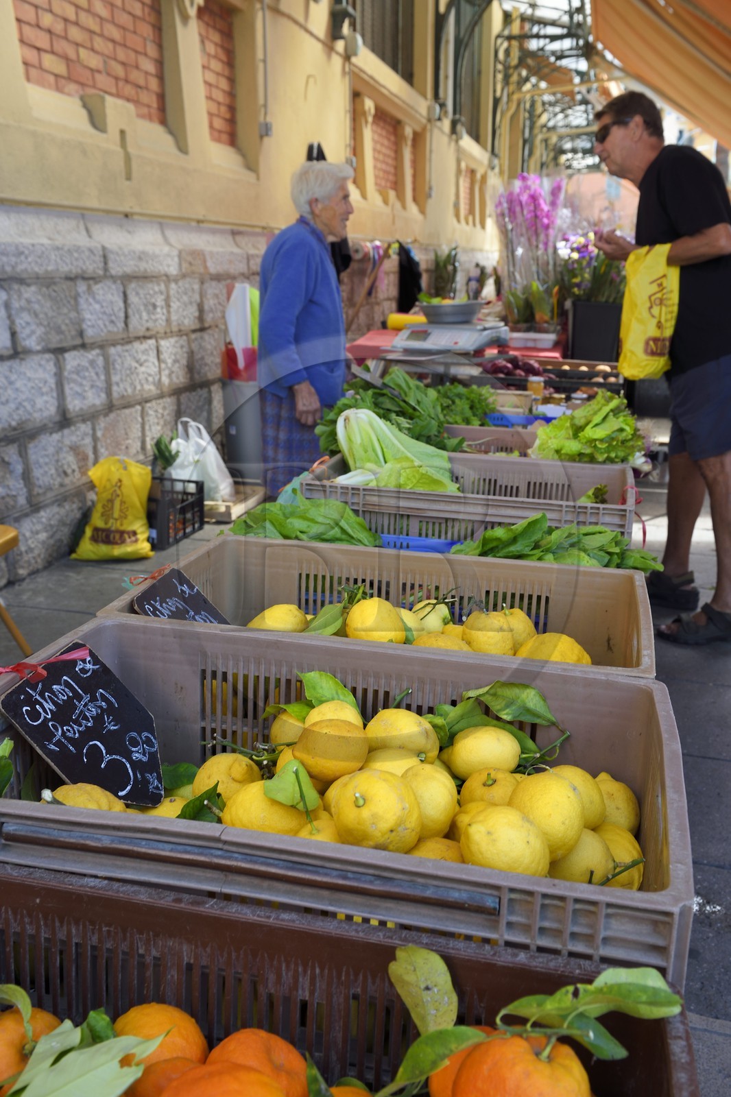 France, Alpes-Maritimes, Menton, municipal covered market, Menton lemons