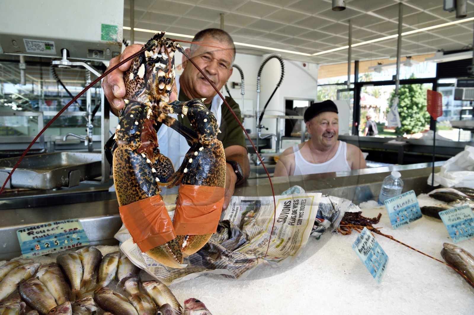 France, Var, Saint-Raphael, the fishermen's market, the fishermen Astrio on the left and Gilbert on the right