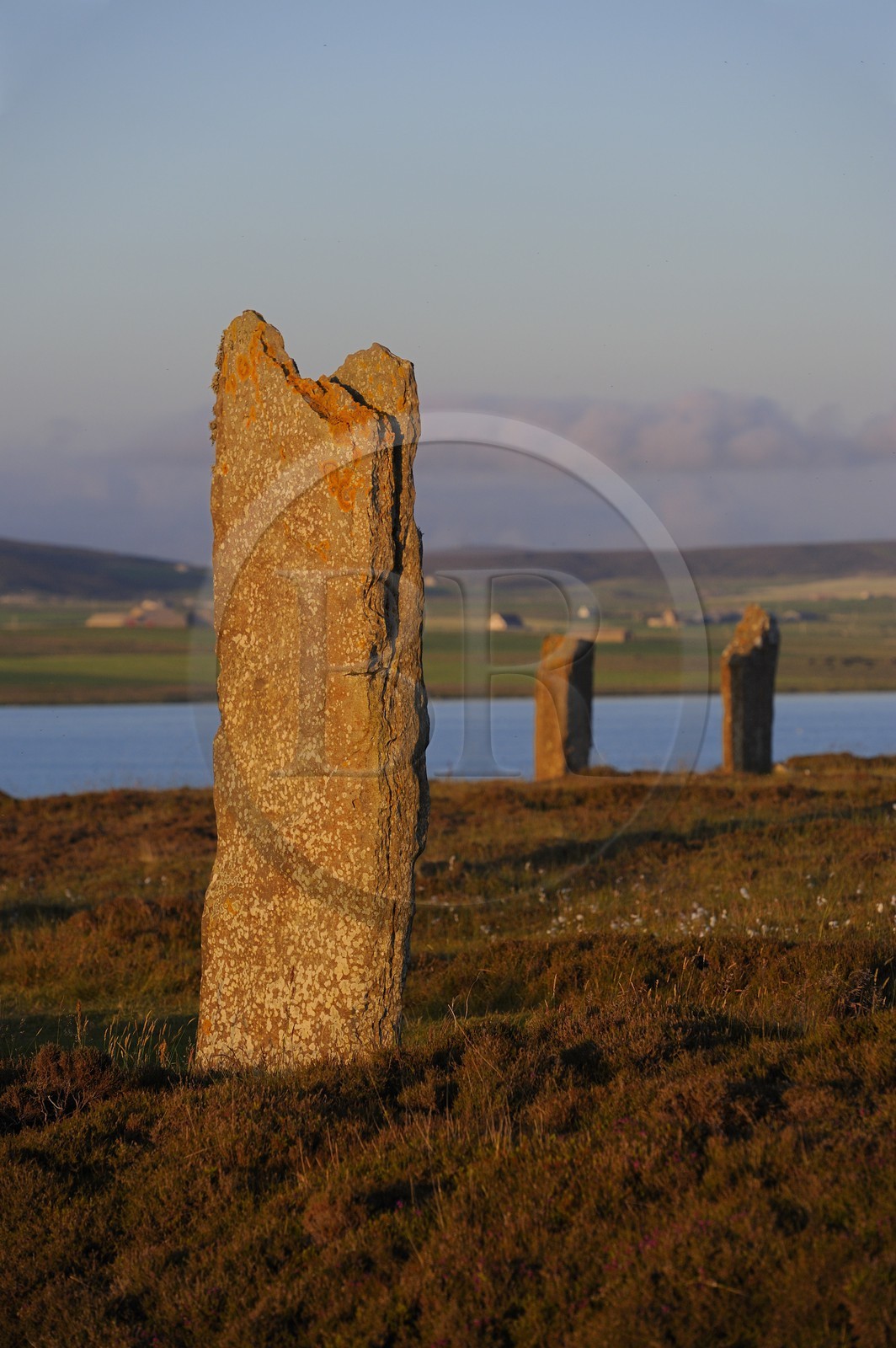 United Kingdom, Scotland, Orkney Islands, Mainland Island, beside the Loch of Stenness, standing stones (stone circle) from the Ring of Brodgar, listed as World Heritage by UNESCO