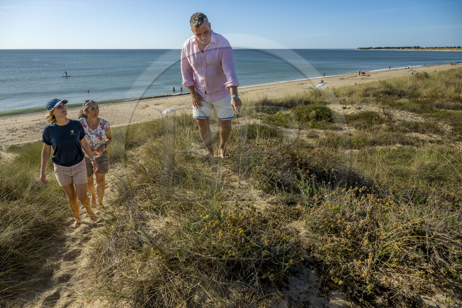 France, Charente Maritime, Oleron island, Saint Georges d'Oléron, Chaucre beach, agronomist Ethel Gauthier in the center with Anne-Cécile and Christophe Amigorena, the creators of Melifera Gin