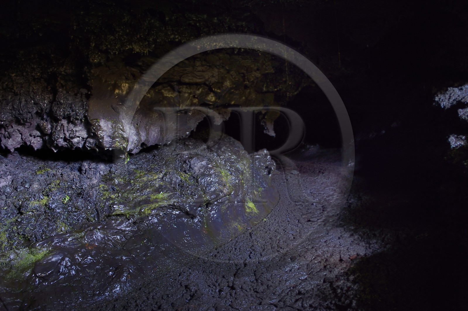 France, Ile de la Reunion, volcan du Piton de la Fournaise, classé Patrimoine Mondial de l'UNESCO, le Grand-Brûlé, coulée de lave récente, tunnel de lave