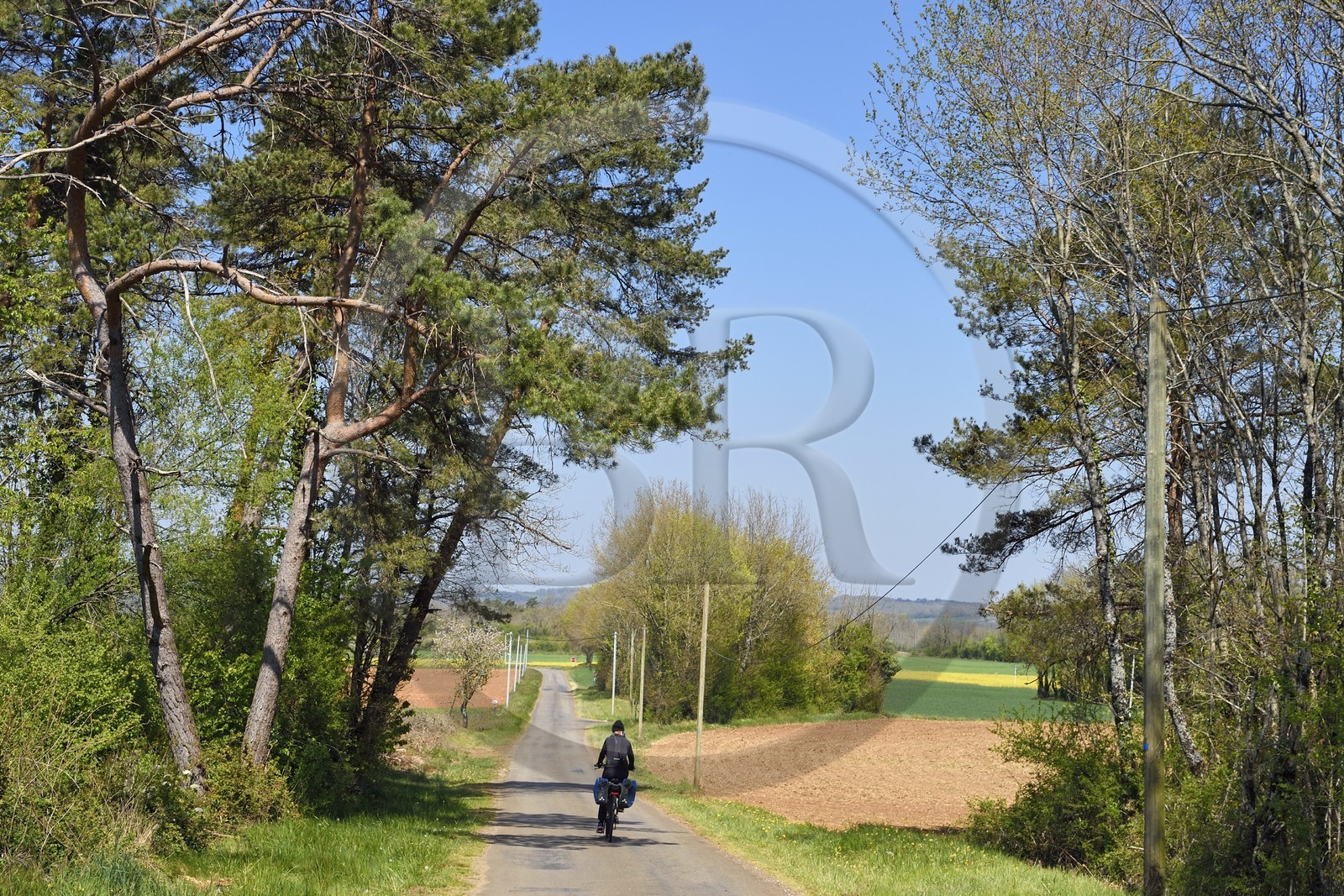 France, Charente, Souffrignac, cyclists on the Flow Vélo cycle route, country route
