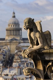 France, Paris (75), île de la Cité, la cathédrale Notre-Dame, les chimères observent la ville, le morse et le Panthéon