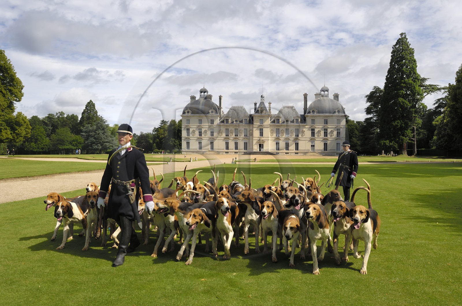 France, Loir-et-Cher (41), château de Cheverny, les piqueux Vol au Vent et La Rosée qui gèrent la meute de 90 chiens de chasse à cour
