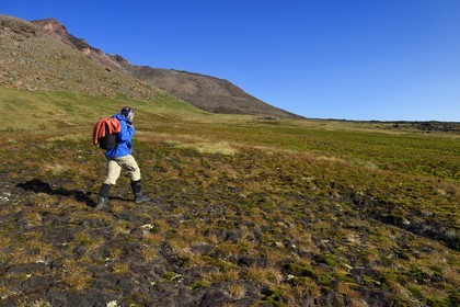 Groenland, cote Nord-Ouest, Murchison sound au nord de la baie de Baffin, randonneur dans la toundra du fjord Robertson à Siorapaluk