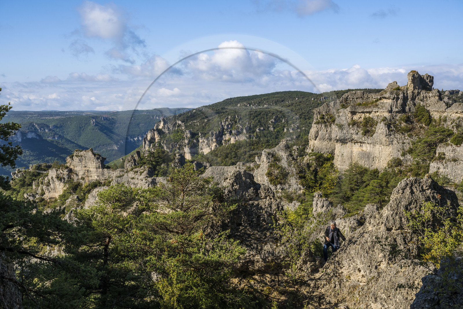France, Aveyron, Causses and the Cevennes, cultural landscape of Mediterranean agro-pastoralism, listed as World heritage by UNESCO, Causse Noir, La Roque Sainte Marguerite, chaos of Montpellier-le-Vieux, the Cité de Pierres (City of Stones)