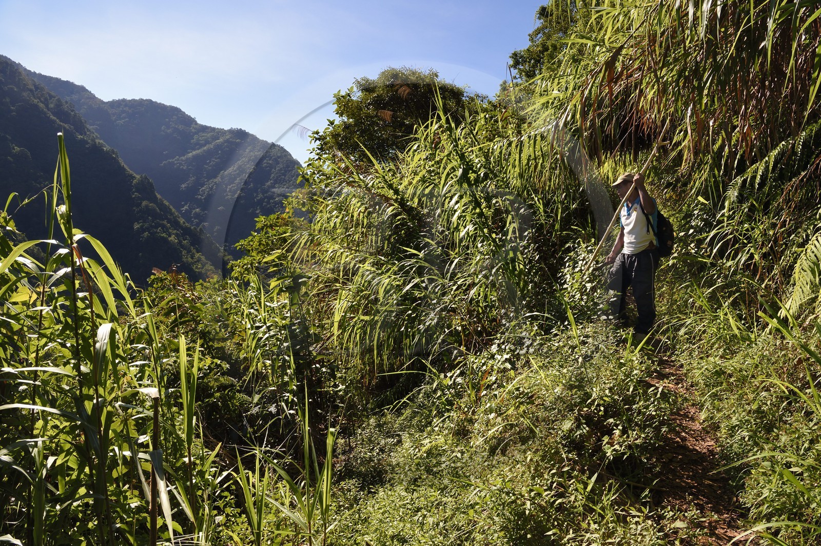 Philippines, Ifugao province, trail connecting the villages of Cambulo and Batad in Banaue mountains
