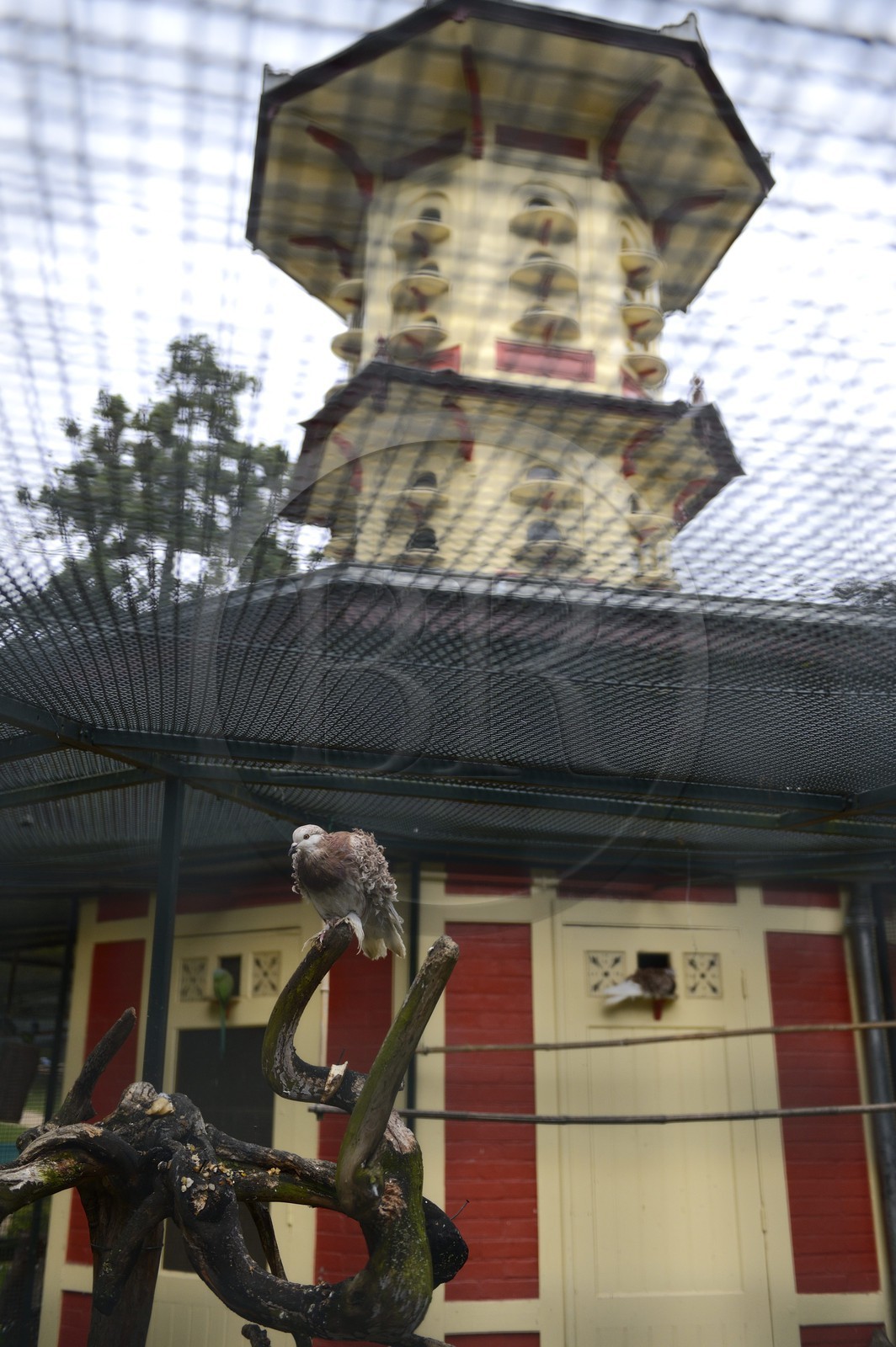 France, Ille-et-Vilaine (35), Rennes, Parc du Thabor, la volière (qui fait aussi office de colombier)