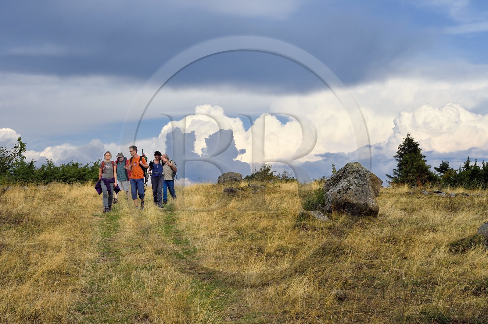 France, Cantal (15), Parc Naturel Régional des Volcans d'Auvergne, plateau de Chastel-sur-Murat, randonneurs sur le chemin de Saint-Jacques de Compostelle par la Via Arverna