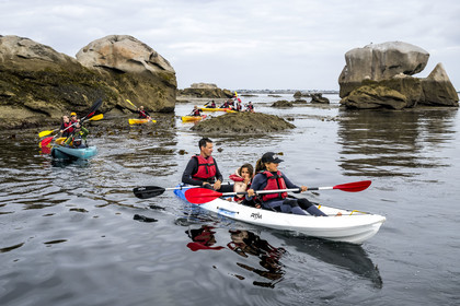 France, Finistère, Penmarch, Étocs archipelago, kayak trip from the Guilvinec Nautical Center to discover the gray seal (halichoerus grypus) in the rocks at low tide