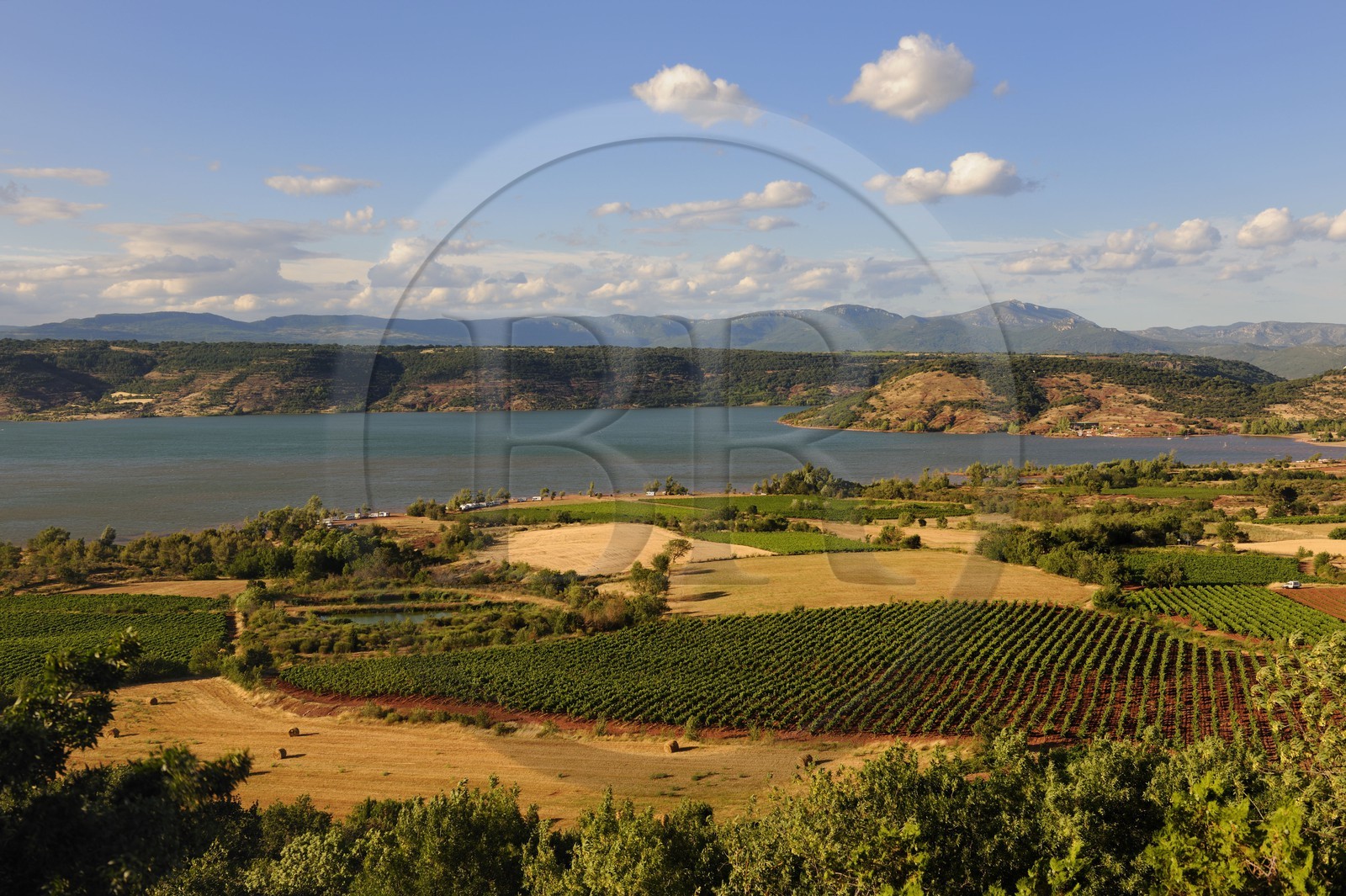 France, Hérault (34), le lac de Salagou, champs et vignoble