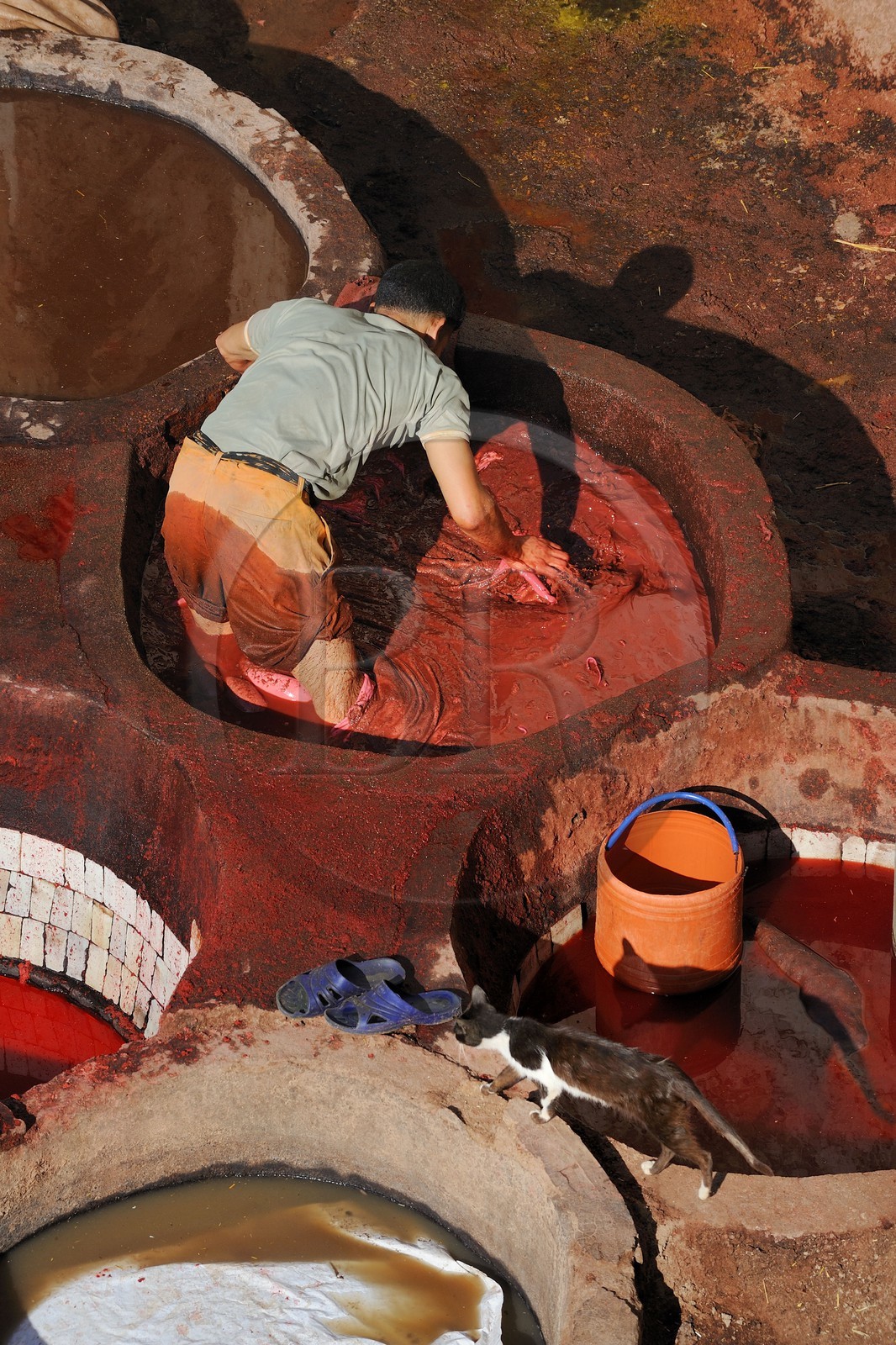 Maroc, Moyen Atlas, Fès, ville impériale, médina classée Patrimoine Mondial de l'UNESCO, Fès el Bali, quartier des tanneurs, Chouara