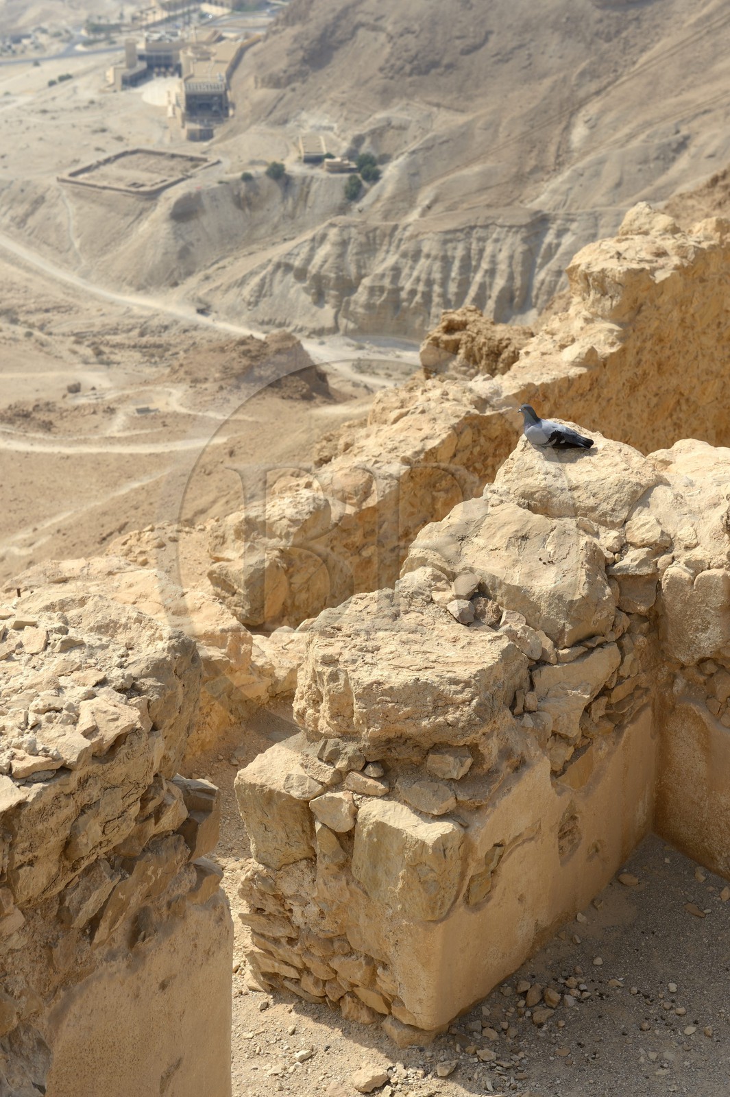 Israel, désert du Neguev, forteresse de Massada, classée Patrimoine Mondial de l'UNESCO