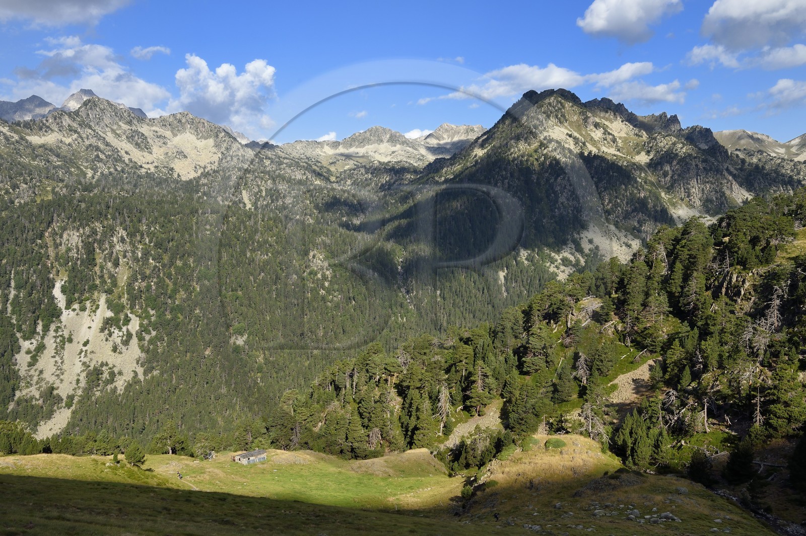 France, Hautes-Pyrénées (65), Saint-Lary-Soulan et Vielle-Aure, randonnée sur une variante du GR10 entre le col de Portet et les lacs de Bastan en bordure de la réserve naturelle de Néouvielle